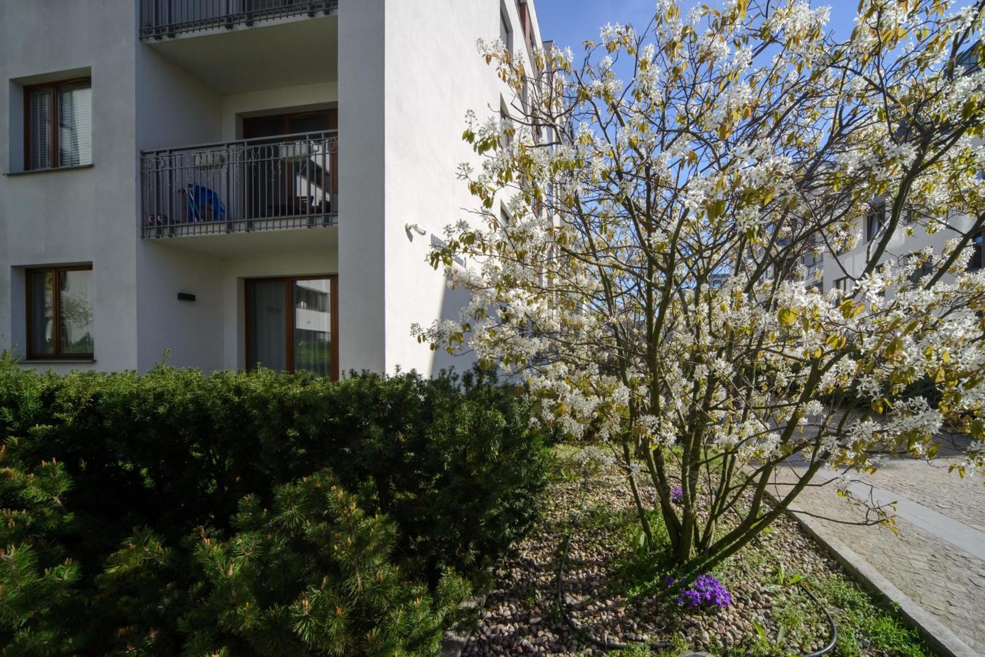 Maya's Flats & 81 - 3 Flat In Garnizon *